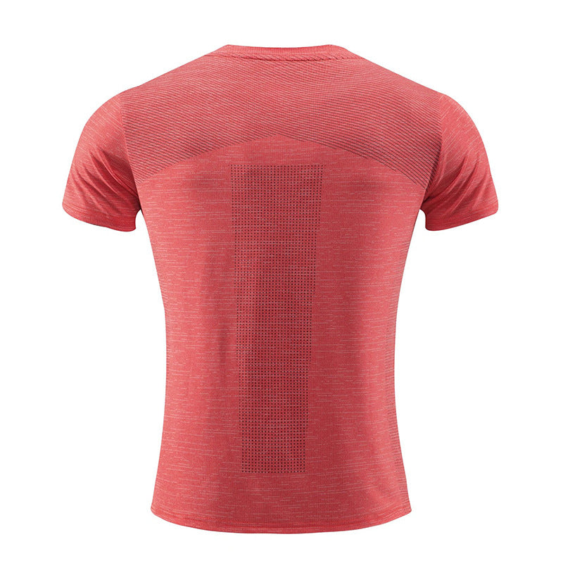Quick Dry Short Sleeve Tee Muscle Fit